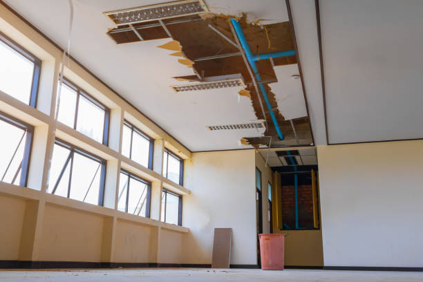 Best Water damage restoration near me  in Countryside, IL