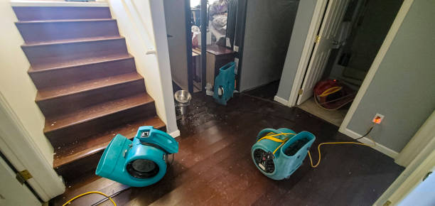Best 24/7 water damage repair  in Countryside, IL