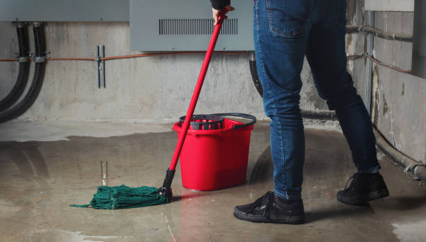 Best Mold removal after water damage  in Countryside, IL