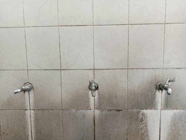 Best Water damage restoration experts  in Countryside, IL