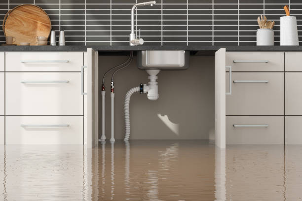Best Water damage contractors near me  in Countryside, IL