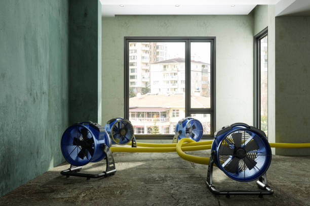 Best Water damage cleanup near me  in Countryside, IL
